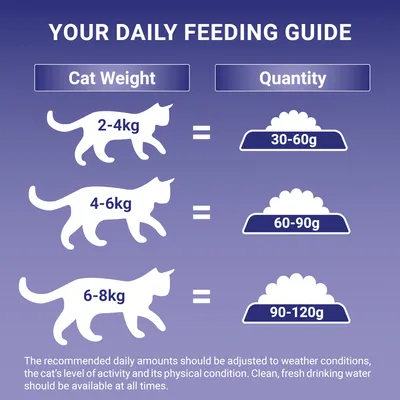 Daily feeding guide: cats 2-4kg need 30-60g, 4-6kg need 60-90g, 6-8kg need 90-120g food per day. Adjust amounts for activity and condition. Fresh water should always be available.