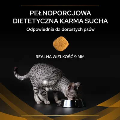 PEŁNOPORCJOWA DIETETYCZNA KARMA SUCHA. Odpowiednia dla dorosłych psów. Realna wielkość 9 mm.