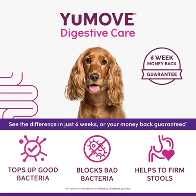 YuMOVE Digestive Care with 6 week money back guarantee. See the difference in 6 weeks or your money back. Tops up good bacteria, blocks bad bacteria, helps to firm stools.