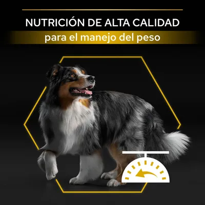 NUTRICIÓN DE ALTA CALIDAD para el manejo del peso, perro de pelaje largo y medidor de peso en la imagen. Texto en español visible en la parte superior.