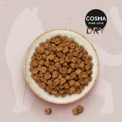 Cosma Pure Love Dry. Croquettes dans une coupelle, morceaux bruns sur fond avec silhouette de chat.