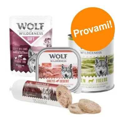 Set prova misto! Wolf of Wilderness umido per cane