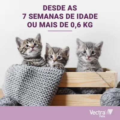 Desde as 7 semanas de idade ou mais de 0,6 kg. Vectra Felis.