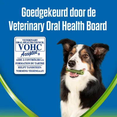 Goedkeuringstekst: 'Goedgekeurd door de Veterinary Oral Health Board'. VOHC Accepted-keurmerk, helpt tandsteenvorming tegengaan. Hond met groen kauwproduct in bek zichtbaar.