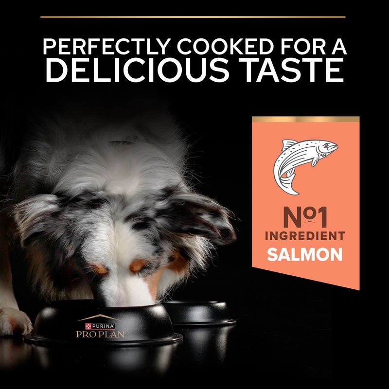 PURINA PRO PLAN Large Athletic Adult Sensitive Skin Salmon