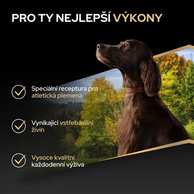 Špeciálna receptúra pre atletické plemená, vynikajúca absorpcia živín, kvalitná každodenná výživa. Špeciálna receptúra pre atletické plemená, vynikajúca absorpcia živín, kvalitná každodenná výživa.