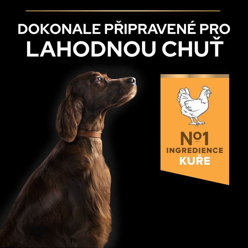 PURINA PRO PLAN Large Athletic Adult Everyday Nutrition