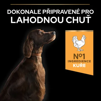 PURINA PRO PLAN Large Athletic Adult Everyday Nutrition