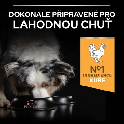 Purina Pro Plan, hlavná zložka kuracie. Text: Perfektne pripravené pre lahodnú chuť. Obrázok psa pri jedení.