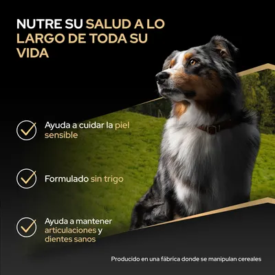 Nutre la salud durante toda la vida. Ayuda a cuidar la piel sensible, formulado sin trigo, favorece unas articulaciones y dientes sanos. Elaborado en una fábrica que utiliza cereales. Nutre la salud durante toda la vida. Ayuda a cuidar la piel sensible, formulado sin trigo, favorece unas articulaciones y dientes sanos. Elaborado en una fábrica que utiliza cereales.