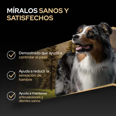 Eslogan: Se ven sanos y satisfechos. Está demostrado que ayuda a controlar el peso, reducir la sensación de hambre y mantener sanas las articulaciones y los dientes.