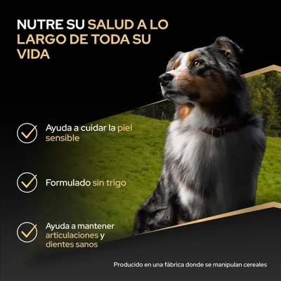 Nutre la salud durante toda la vida. Ayuda a cuidar la piel sensible, formulado sin trigo, favorece unas articulaciones y dientes sanos. Elaborado en una fábrica que procesa cereales.