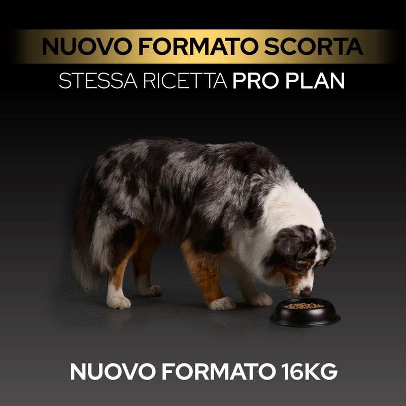 PURINA PRO PLAN Medium Adult Sensitive Digestion Agnello & Riso