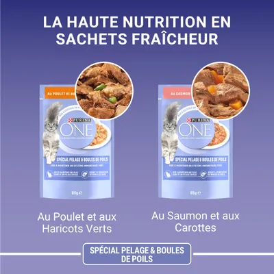 Două plicuri Purina ONE Special Pelage & Boules de Poils, 85g: unul cu pui și fasole verde, unul cu somon și morcovi. Text în franceză: Spécial pelage & boules de poils.