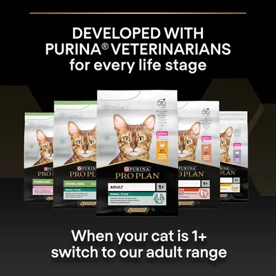 PURINA PRO PLAN macskaeledel csomagok, középen Adult 1+ Renal Plus. Felirat: Developed with PURINA Veterinarians for every life stage. When your cat is 1+ switch to our adult range.