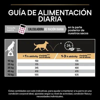 Guía de alimentación diaria para perros según peso y nivel de actividad: 10–70 kg, menos de 1 h o 1–3 h de actividad. Ejemplo: 10 kg, 150 g (<1 h), 170 g (1–3 h). Cantidades indicativas.