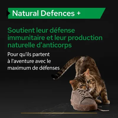 Natural Defences +. Soutient leur défense immunitaire et leur production naturelle d'anticorps. Pour qu'ils partent à l'aventure avec le maximum de défenses. Texte en anglais et français.