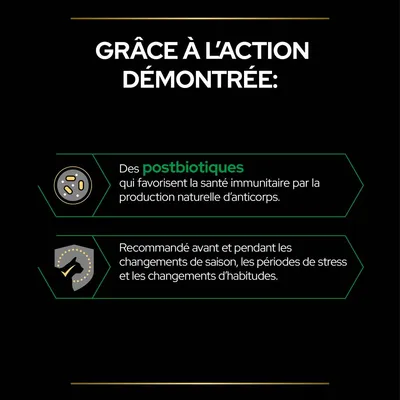 Grâce à l’action démontrée : des postbiotiques favorisent la santé immunitaire par la production naturelle d’anticorps. Recommandé avant et pendant les changements de saison, stress, habitudes.