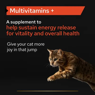 Multivitamins +. A supplement to help sustain energy release for vitality and overall health. Give your cat more joy in that jump.