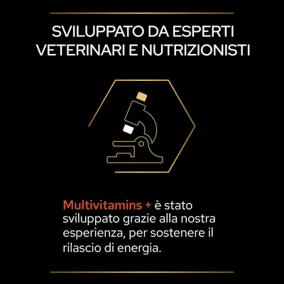 Testo: Sviluppato da esperti veterinari e nutrizionisti. Multivitamins + è stato sviluppato grazie alla nostra esperienza, per sostenere il rilascio di energia.