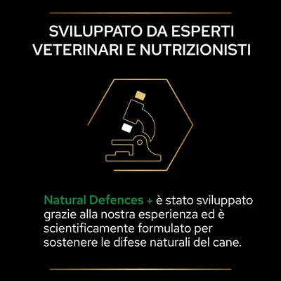 Sviluppato da esperti veterinari e nutrizionisti. Natural Defences+ sviluppato per sostenere le difese naturali del cane, scientificamente formulato grazie all’esperienza del team.