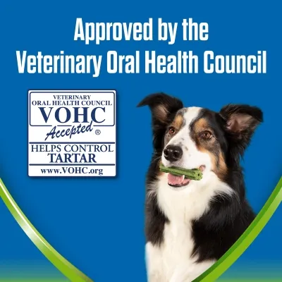 Approved by the Veterinary Oral Health Council. VOHC Accepted. Helps control tartar. www.VOHC.org. Black and white dog holding green chew stick.