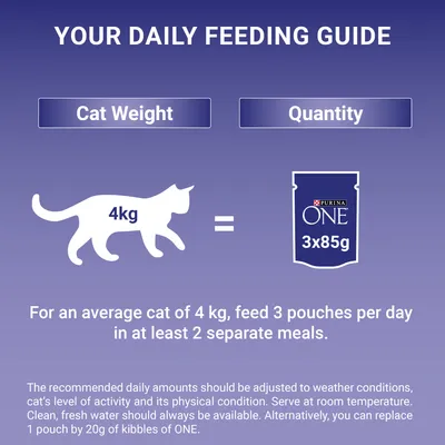 Feeding guide: for a 4kg cat, feed 3 pouches of Purina ONE 85g per day in at least 2 meals. Adjust amount as needed; fresh water should always be available.