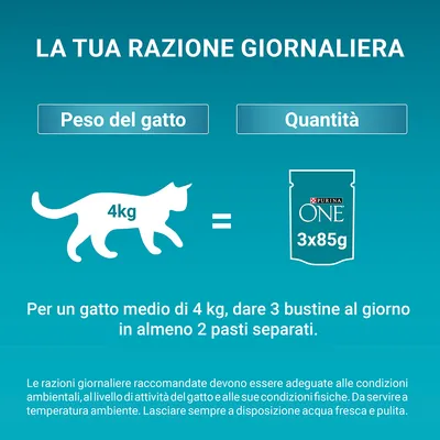 Per un gatto di 4 kg, somministrare 3 bustine Purina ONE da 85 g al giorno in almeno 2 pasti separati. Peso del gatto e quantità indicati. Consigli su razioni giornaliere visibili.