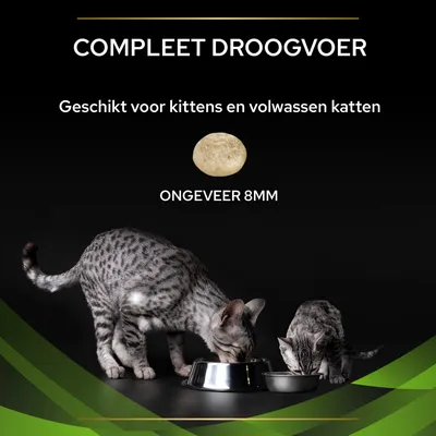 Compleet droogvoer, geschikt voor kittens en volwassen katten. Brokjesgrootte ongeveer 8 mm. Twee grijs-zwart gestreepte katten eten uit metalen voerbakken.