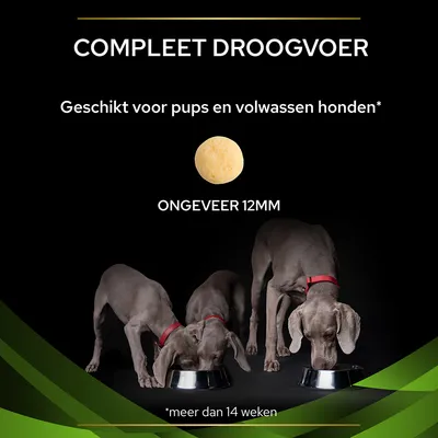 COMPLEET DROOGVOER. Geschikt voor pups en volwassen honden* ongeveer 12 mm. *meer dan 14 weken. Drie grijze honden eten uit metalen voerbakken.