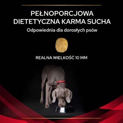 Pełnoporcjowa dietetyczna karma sucha, odpowiednia dla dorosłych psów. Realna wielkość granulki 10 mm. Pies przy misce.