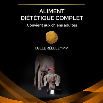 Texte : Aliment diététique complet, convient aux chiens adultes, taille réelle 11 mm. Croquette ronde montrée, chien adulte gris mangeant dans une gamelle en métal.