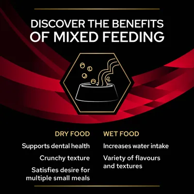 Teksti englanniksi: Discover the benefits of mixed feeding. Dry food: supports dental health, crunchy texture, satisfies desire for multiple small meals. Wet food: increases water intake, variety of flavours and textures.