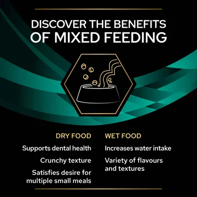 Benefits of mixed feeding: dry food supports dental health, has crunchy texture, satisfies desire for multiple small meals; wet food increases water intake, offers variety of flavours and textures.