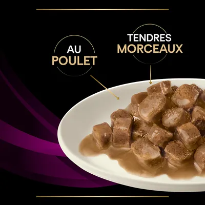 Assiette de bouchées en sauce avec texte : « AU POULET » et « TENDRES MORCEAUX »