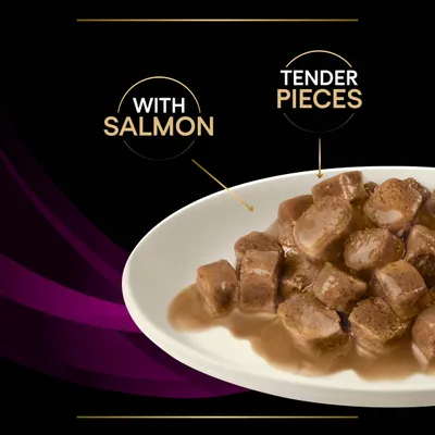 Product image showing tender pieces in gravy with salmon, as highlighted by text and arrows on the image.