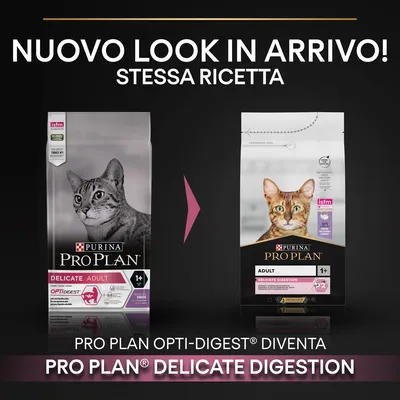 Nuovo look in arrivo, stessa ricetta. PRO PLAN OPTI-DIGEST diventa PRO PLAN DELICATE DIGESTION. Immagine di due confezioni Purina Pro Plan per gatti adulti 1+ anni.