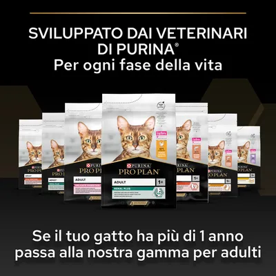 Sviluppato dai veterinari di Purina. Per ogni fase della vita. Se il tuo gatto ha più di 1 anno passa alla nostra gamma per adulti. Confezioni di crocchette Purina Pro Plan Adult visibili.
