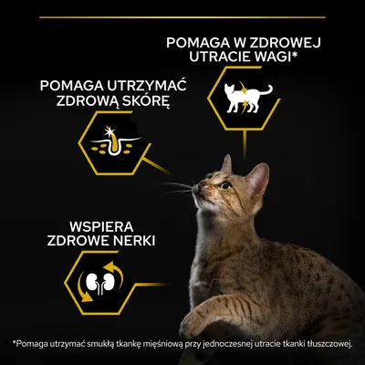 Pomaga w zdrowej utracie wagi, pomaga utrzymać zdrową skórę, wspiera zdrowe nerki. *Pomaga utrzymać smukłą tkankę mięśniową przy jednoczesnej utracie tkanki tłuszczowej.