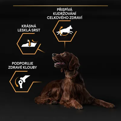 Pes s texty: Krásná lesklá srst, Přispívá k udržování celkového zdraví, Podporuje zdravé klouby. Grafické ikony znázorňují srst, psa v pohybu a kloub.