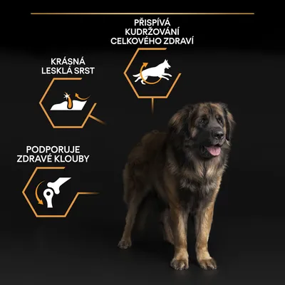 Velký pes a tři grafické prvky s texty: Krásná lesklá srst, Přispívá k udržování celkového zdraví, Podporuje zdravé klouby.