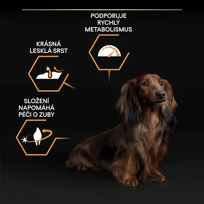 Pes s grafickými prvkami a textom: krásna lesklá srsť, podpora rýchleho metabolizmu, zloženie napomáha starostlivosti o zuby (text v češtine).