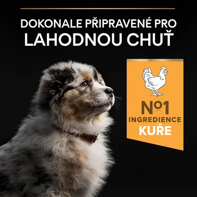 Text: Dokonale připravené pro lahodnou chuť. N°1 ingredience kuře. Text v češtine.