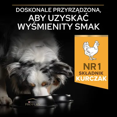 Tekst: Doskonale przyrządzona, aby uzyskać wyśmienity smak. NR 1 składnik kurczak. Pies je z miski Purina Pro Plan.