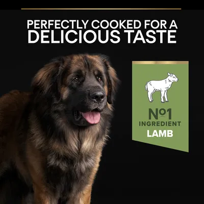 Text: 'Perfectly cooked for a delicious taste'. Grön ruta med text: 'No1 ingredient lamb' och tecknad lammikon. Stor långhårig hund syns bredvid.