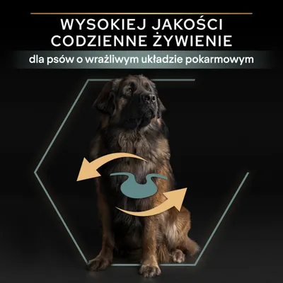 Wysokiej jakości codzienne żywienie dla psów o wrażliwym układzie pokarmowym – tekst na tle psa z graficznym symbolem żołądka i strzałkami.
