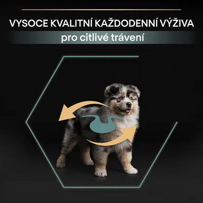 Text v češtine: VYSOCE KVALITNÍ KAŽDODENNÍ VÝŽIVA pro citlivé trávení. Šteňa s grafickým znázornením trávenia.
