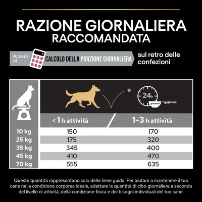 Tabella razione giornaliera consigliata per cani: 10–70 kg, meno di 1 h attività 150–555 g/giorno, 1–3 h attività 170–635 g/giorno. Indicazioni su calcolo porzione giornaliera.
