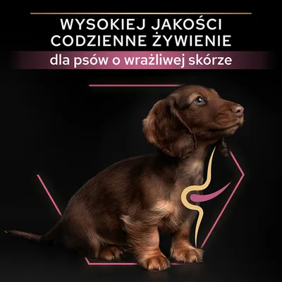 Wysokiej jakości codzienne żywienie dla psów o wrażliwej skórze – tekst na tle zdjęcia brązowego psa z graficznym oznaczeniem układu pokarmowego.