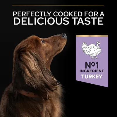 PERFECTLY COOKED FOR A DELICIOUS TASTE, N°1 INGREDIENT TURKEY felirat, pulyka rajzával, barna hosszúszőrű kutya profilból fekete háttéren. Az angol szöveg a képen látható.